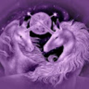 Meet your Posher, Cindi